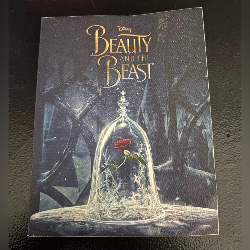 2/$10 Disney Beauty and the Beast